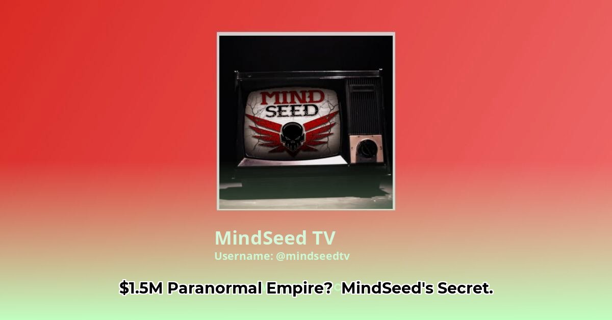 mindseed-tv-net-worth